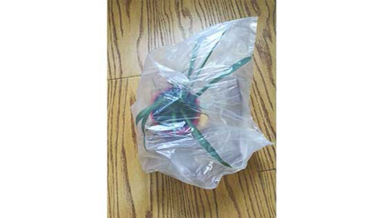 生（shēng）物降解袋家中植物保護神