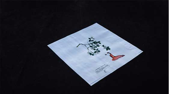 生物降解袋（dài）和普通塑料袋焚燒有什麽區（qū）別？