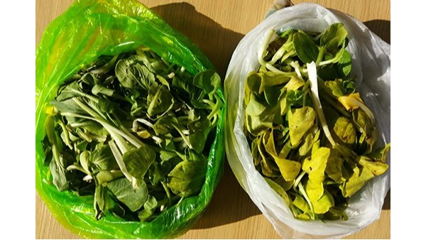 光降解塑料袋和生物降解塑料袋的區別