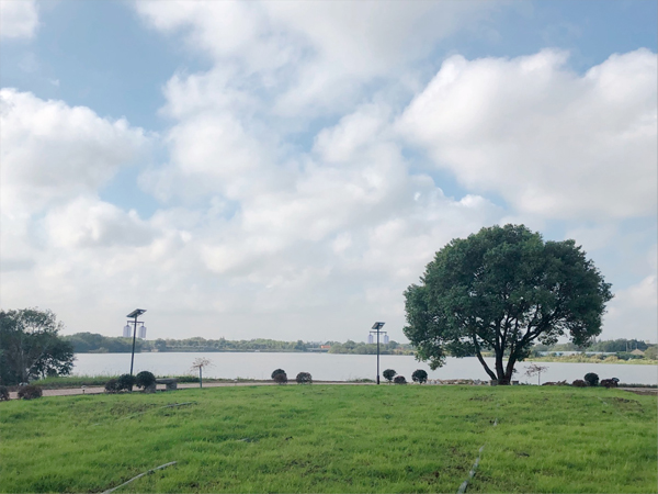 無錫純宇環保-美麗環境